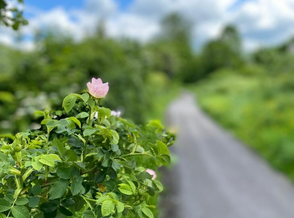 Country walks