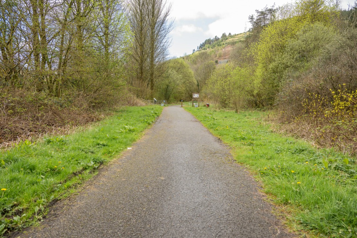 Afan forest walks