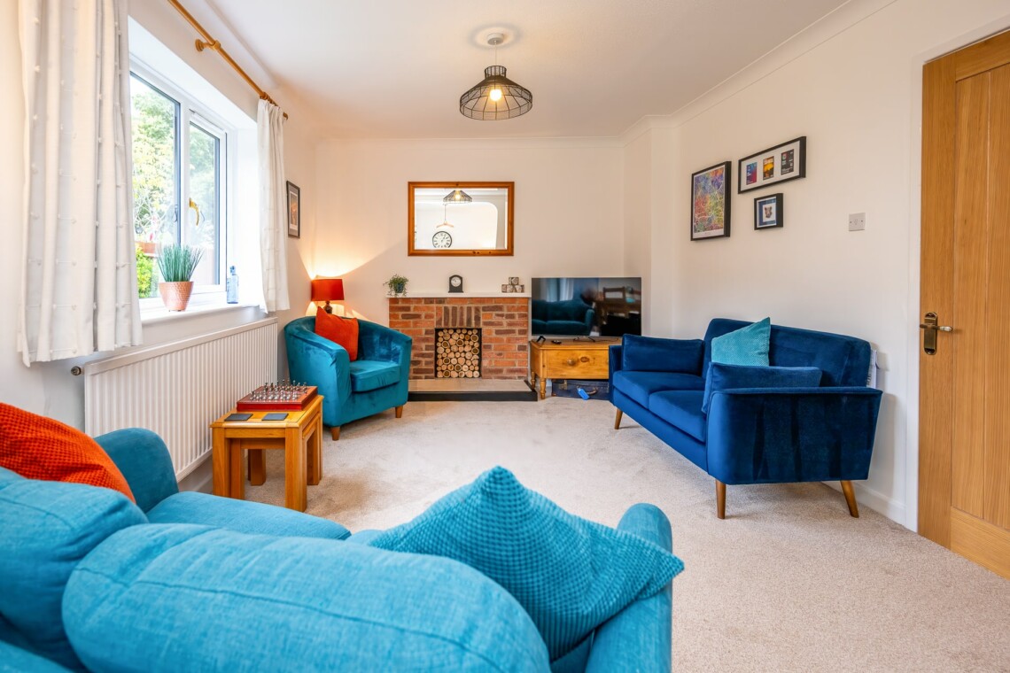Living room & multimedia TV