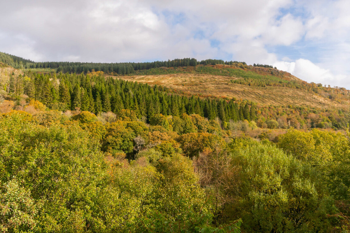 Explore Afan forest park by following forest tracks and roads on foot or by bicycle.
