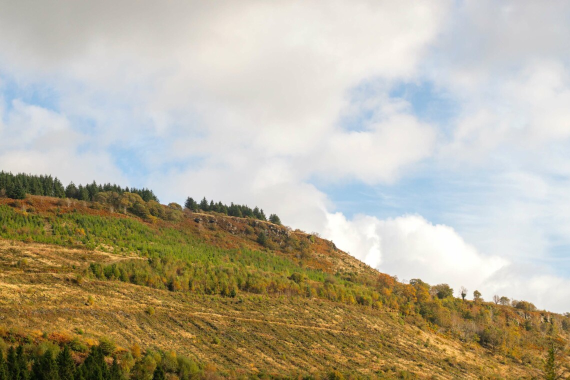 Afan forest park is the fastest-growing mountain bike area in Britain
