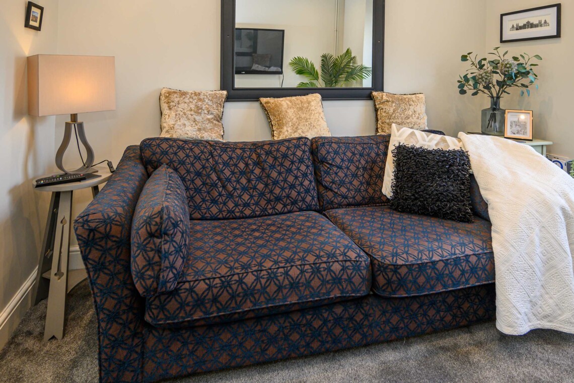 Comfortable living area with sofa bed