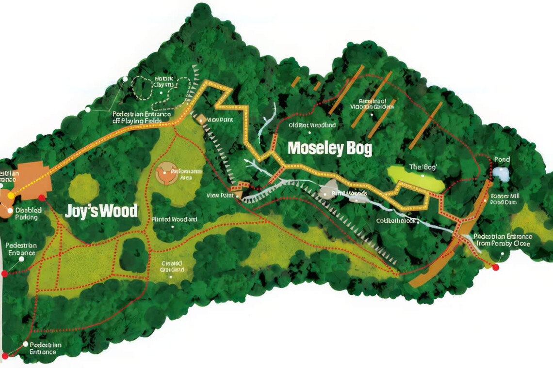 Joy's wood