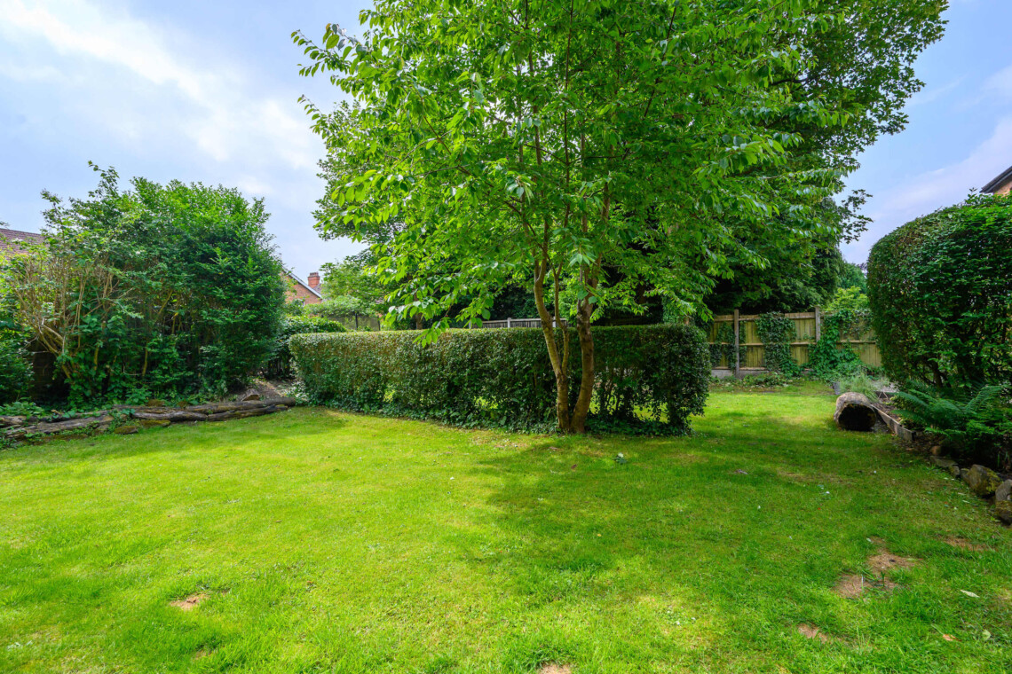 Beautiful shared garden area