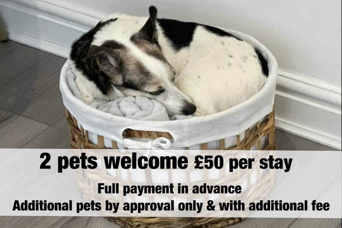 2 pets welcome with a £50 fee. Additional pets by approval only, with an additional fee.