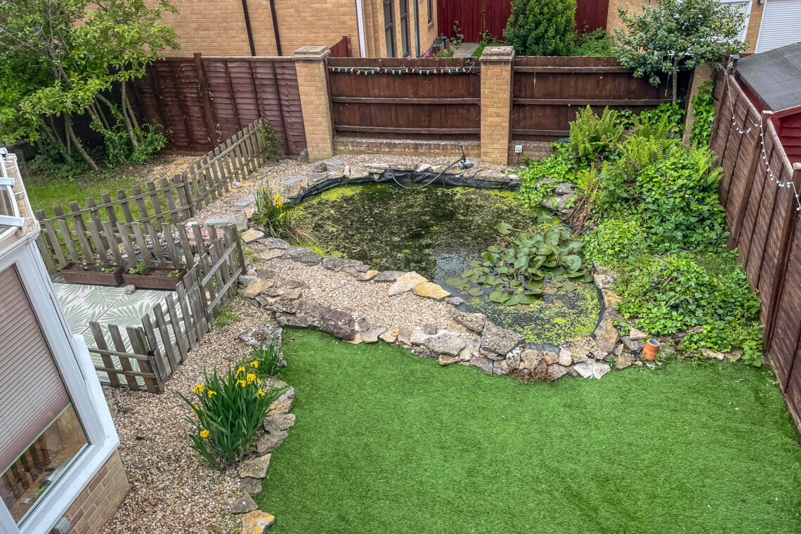 Garden with featured pond 