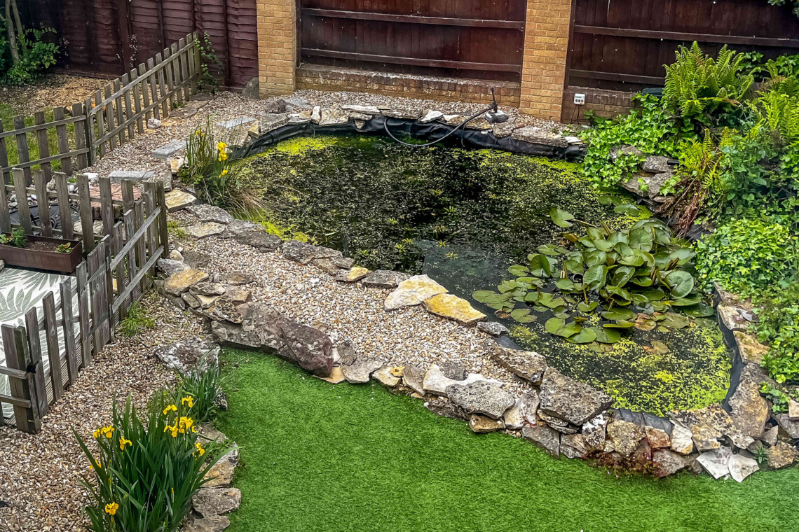 Featured pond in the rear garden