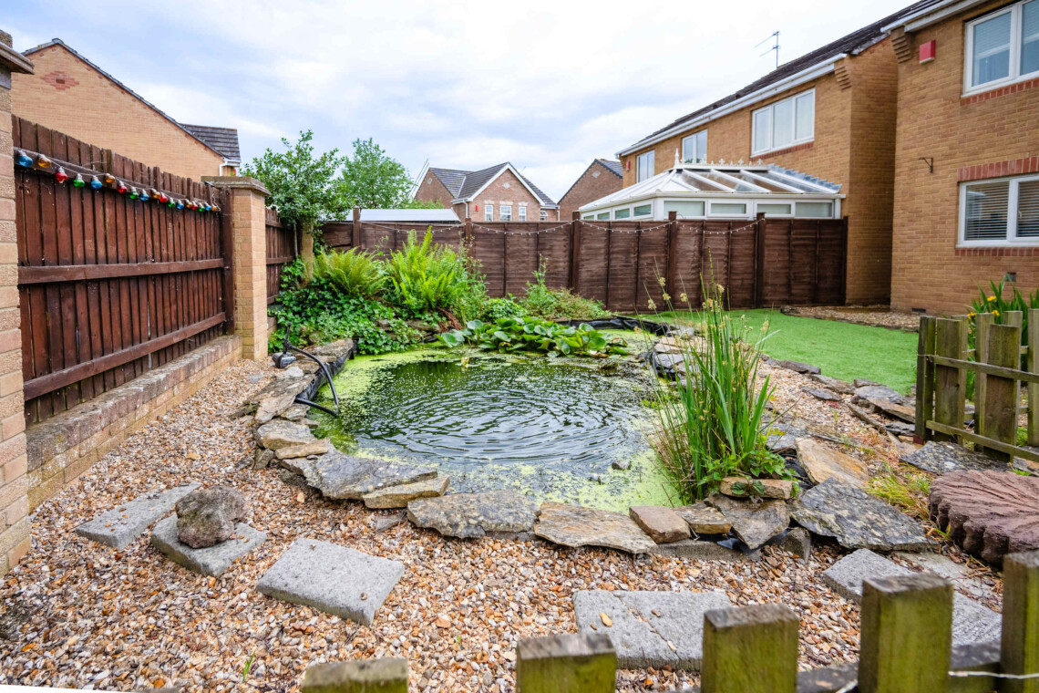 Featured pond in the rear garden