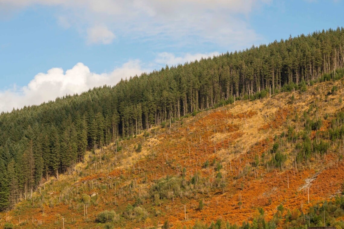 Rolling hills of the Afan Forest